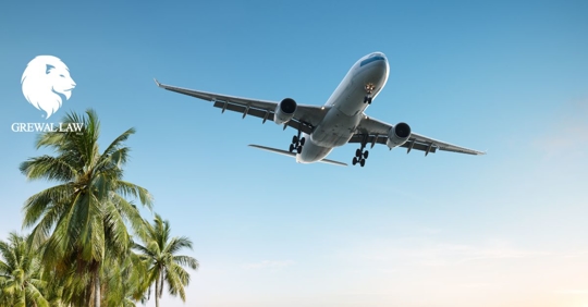 Grewal Law: Plane flying over palm trees.